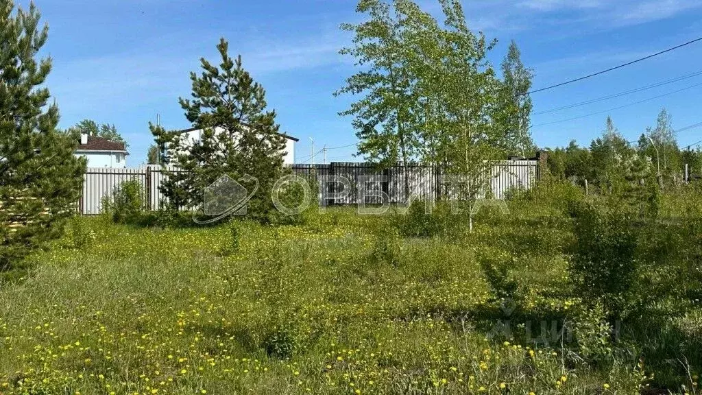 Участок в Тюменская область, Тюмень Звенящие Кедры Тюмени ДНП,  (9.7 ... - Фото 1