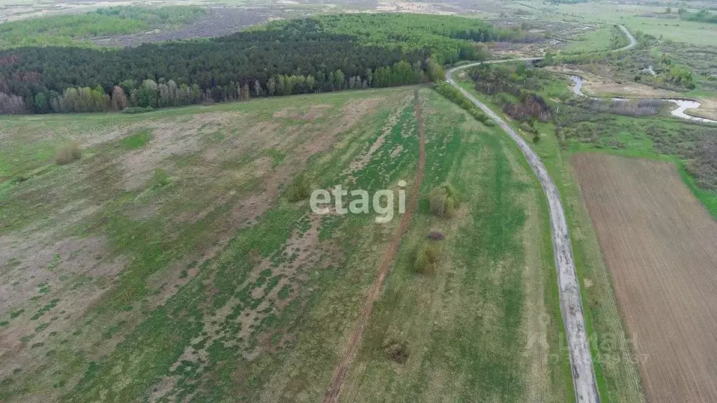Участок в Тюменская область, Тюменский район, с. Салаирка  (8.0 сот.) - Фото 0