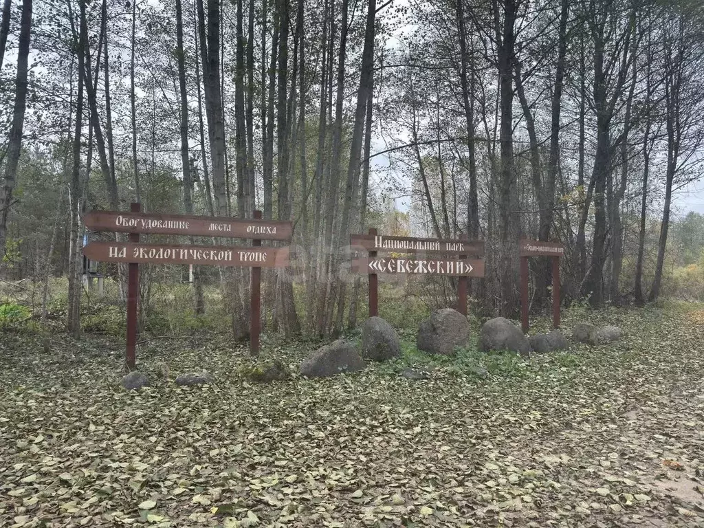 Участок в Псковская область, Себежское с/пос, д. Забелье  (24.0 сот.) - Фото 1