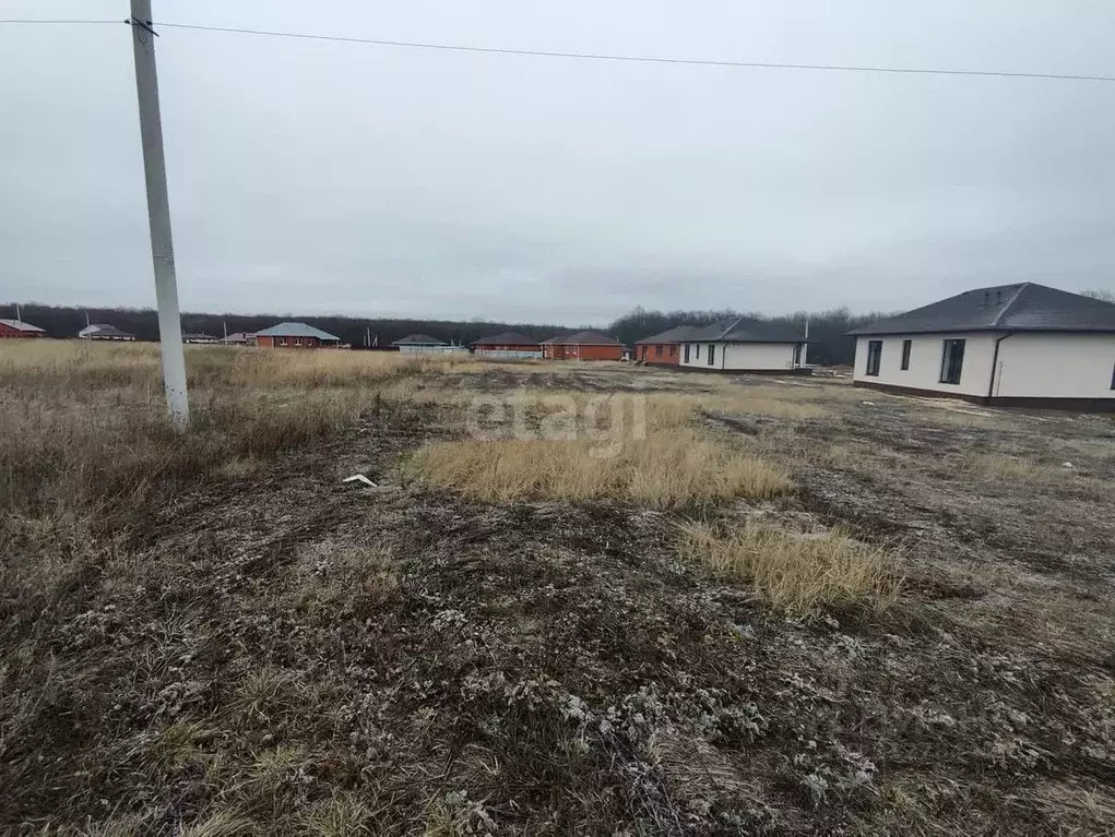 Участок в Белгородская область, Строитель Яковлевский городской округ, ... - Фото 1