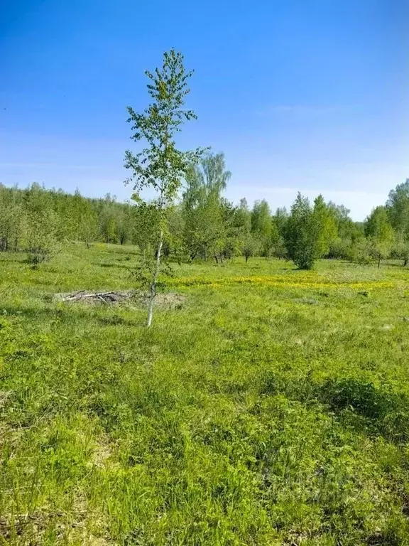 Участок в Свердловская область, Дегтярск ул. Космонавтов, 3 (12.0 ... - Фото 0