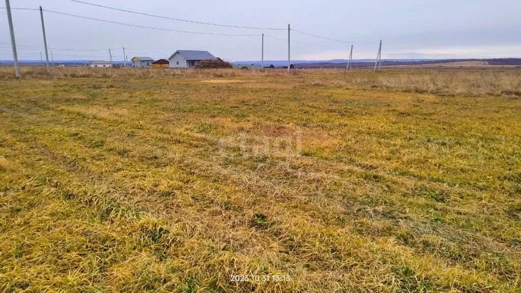 Участок в Амурская область, Благовещенский район, с. Волково ул. ... - Фото 1