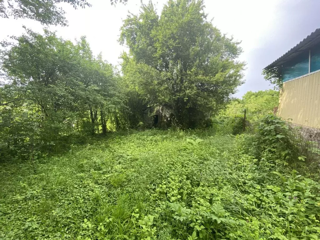 Участок в Краснодарский край, Геленджик муниципальное образование, с. ... - Фото 1