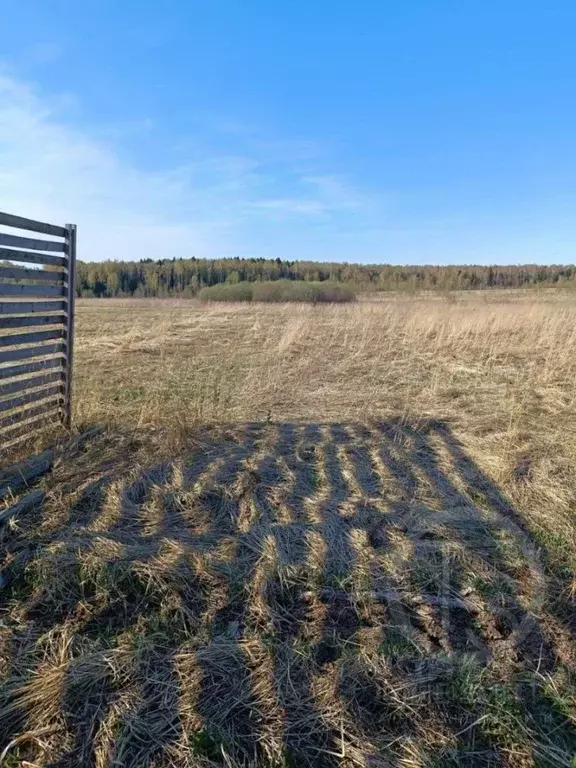 Участок в Московская область, Мытищи городской округ, д. Долгиниха ул. ... - Фото 1