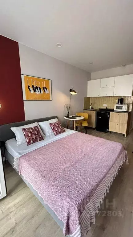 Студия Краснодарский край, Сочи Адлер жилрайон, ул. Чкалова, 13 (26.0 ... - Фото 1