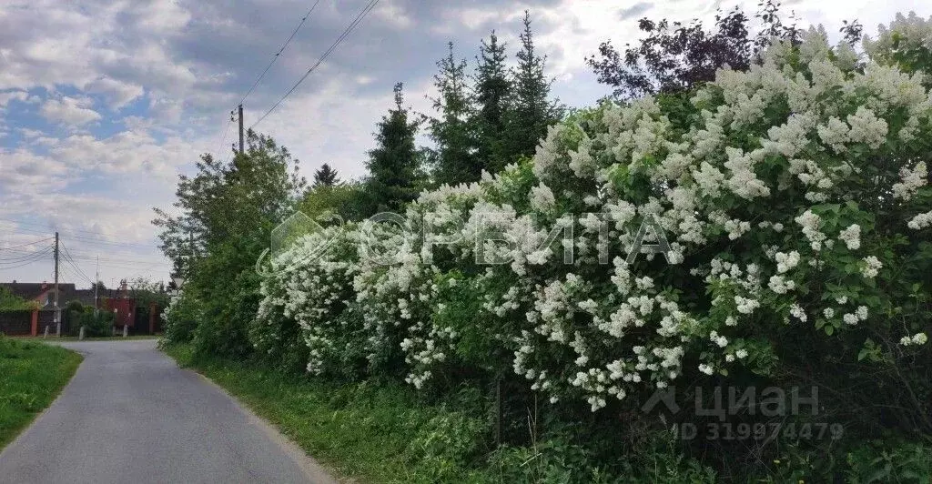 Участок в Тюменская область, Тюменский район, д. Головина Советская ... - Фото 0