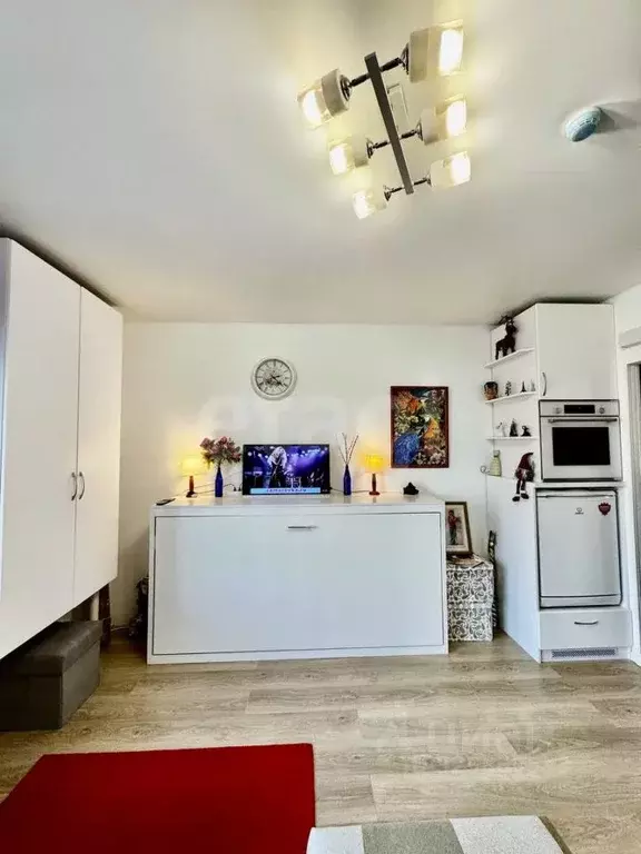 Студия Санкт-Петербург просп. Орлово-Денисовский, 19к1 (23.7 м) - Фото 1