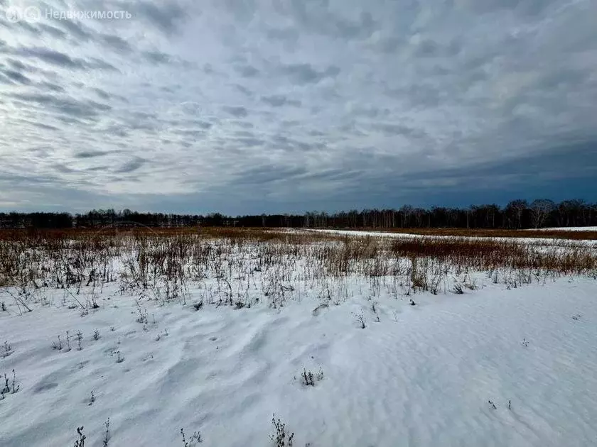 Участок в Червишевское муниципальное образование (8 м) - Фото 0