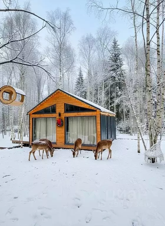 Дом в Московская область, Волоколамский муниципальный округ, Тихая ... - Фото 1