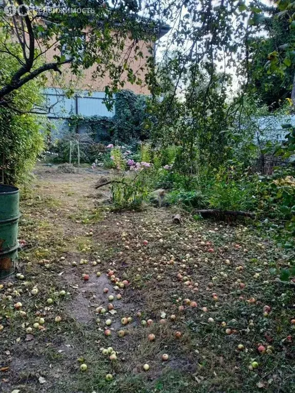 Участок в деревня Николо-Хованское, 106 (8 м) - Фото 1