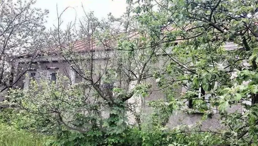 Дом в Воронежская область, с. Новая Усмань ул. Логовая (65 м) - Фото 1