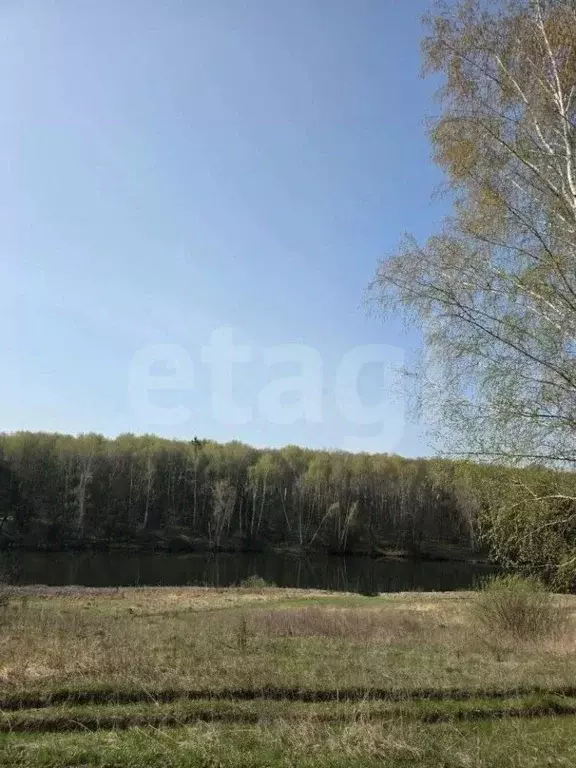 Участок в Тульская область, Щекинский район, Яснополянское с/пос, д. ... - Фото 2