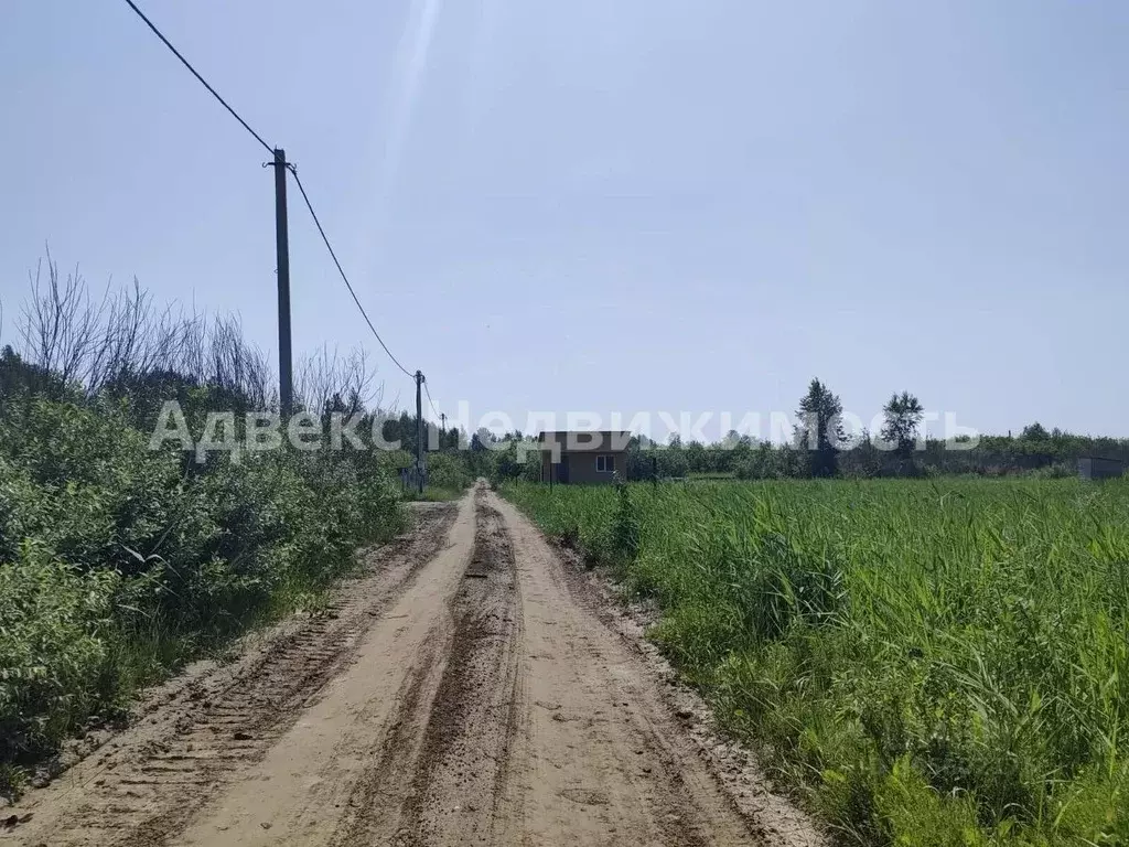 Участок в Тюменская область, Тюмень Ясень садовое товарищество,  ... - Фото 0