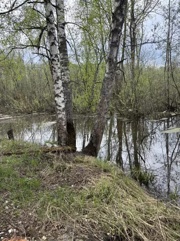 Дом в Владимирская область, Киржачский муниципальный округ, ... - Фото 2