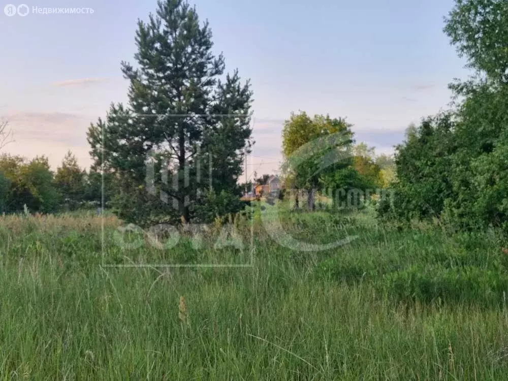 Участок в село Староживотинное, улица Артамонова (20 м) - Фото 1