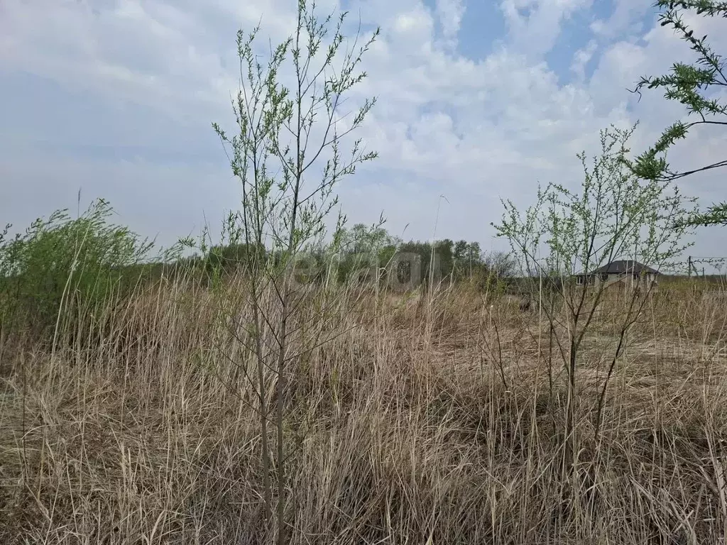 Участок в Хабаровский край, Хабаровск Дубки СТ, 31 (8.0 сот.) - Фото 1
