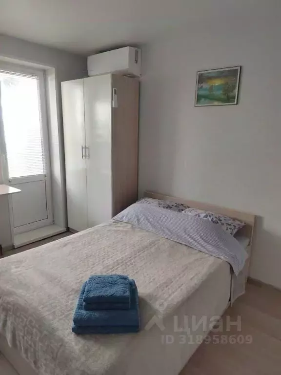 1-к кв. Приморский край, Владивосток ул. Нейбута, 139 (18.0 м) - Фото 1