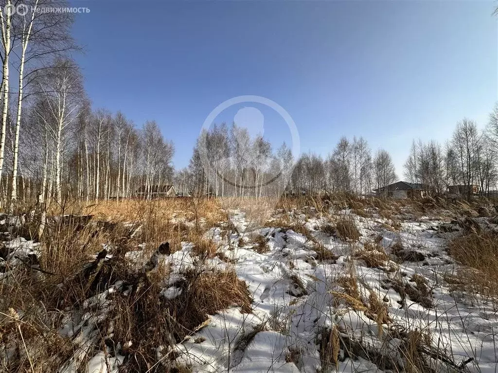 Участок в Рязанский район, Дубровическое сельское поселение, село ... - Фото 1