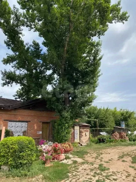 Торговая площадь в Саратовская область, Энгельс Транспортная ул., 19А ... - Фото 2