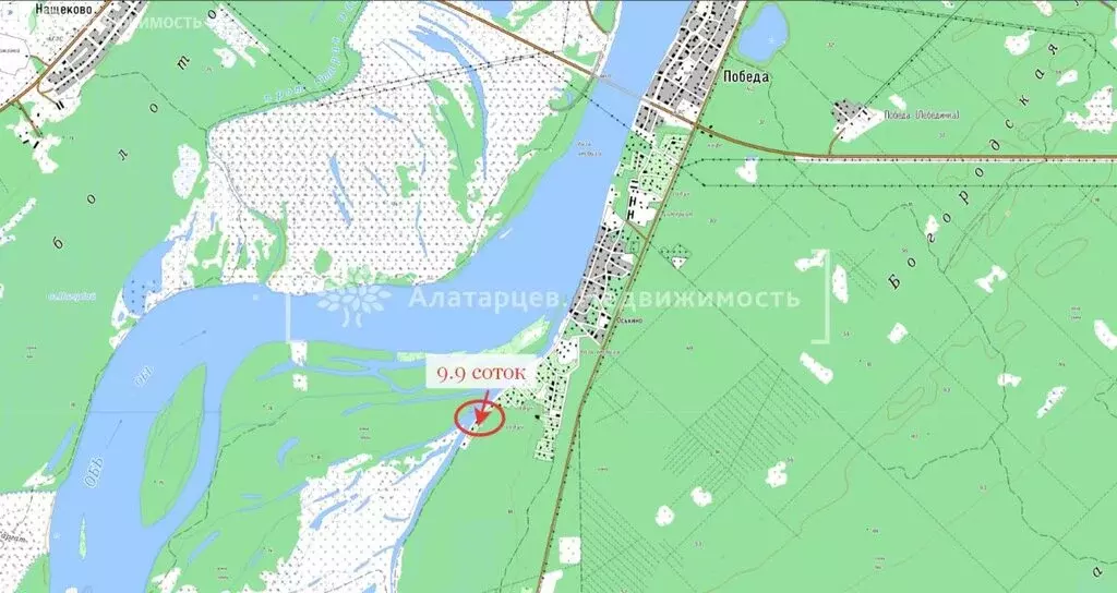 Участок в Шегарский район, деревня Оськино (9.9 м) - Фото 1