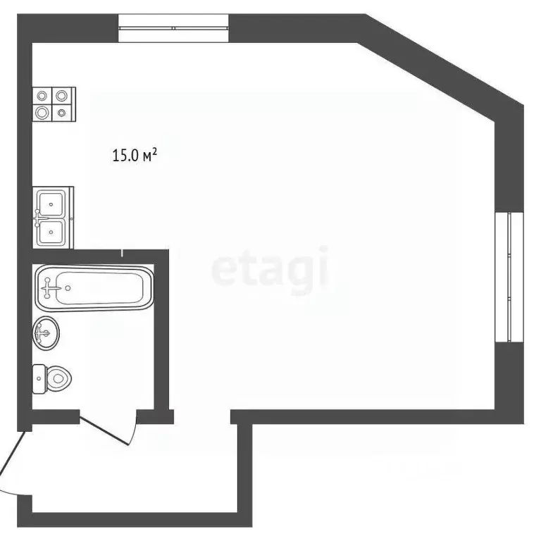 Студия Ставропольский край, Кисловодск Пятигорская ул. (57.0 м) - Фото 1