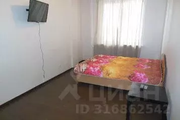 1-к кв. Новосибирская область, Новосибирск ул. Дуси Ковальчук, 238 ... - Фото 0