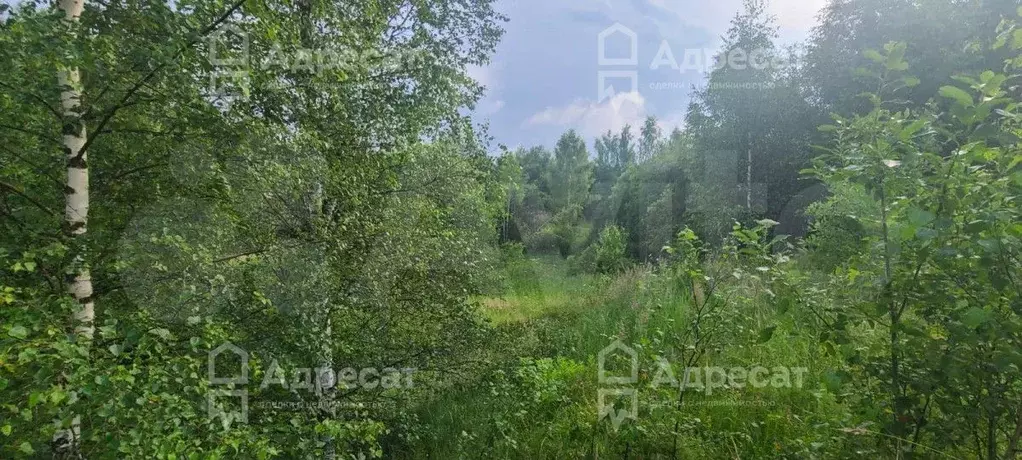 Участок 1,98 га (СНТ, ДНП) - Фото 1