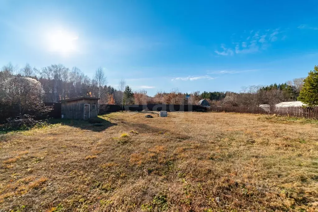 Участок в Курганская область, Кетовский муниципальный округ, Волна СТ  ... - Фото 1