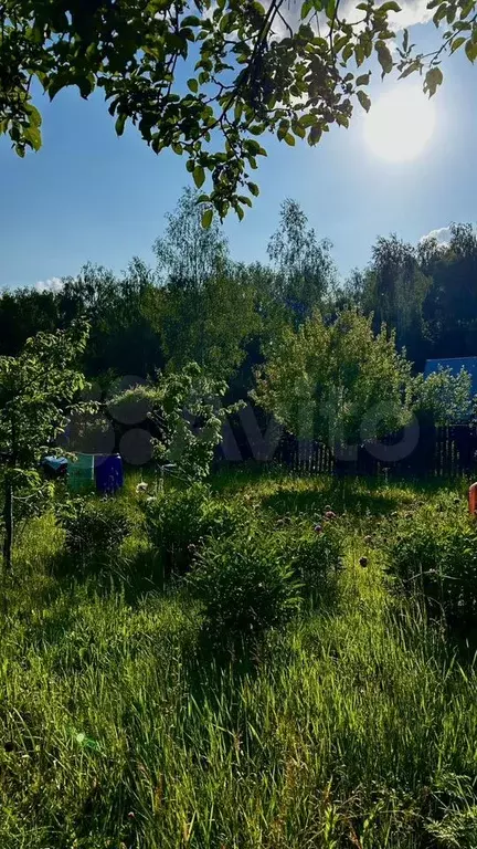 Участок 6,6 сот. (СНТ, ДНП) - Фото 1