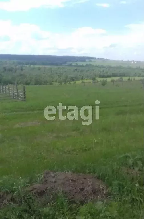 Участок в Башкортостан, Гафурийский район, Красноусольский сельсовет, ... - Фото 1