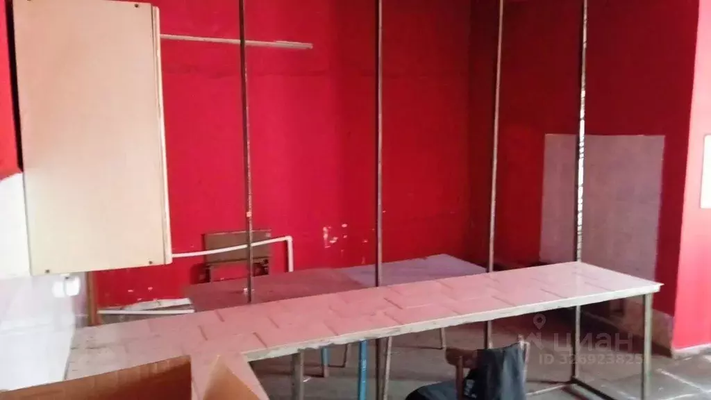 Производственное помещение в Новосибирская область, Черепаново ул. ... - Фото 2