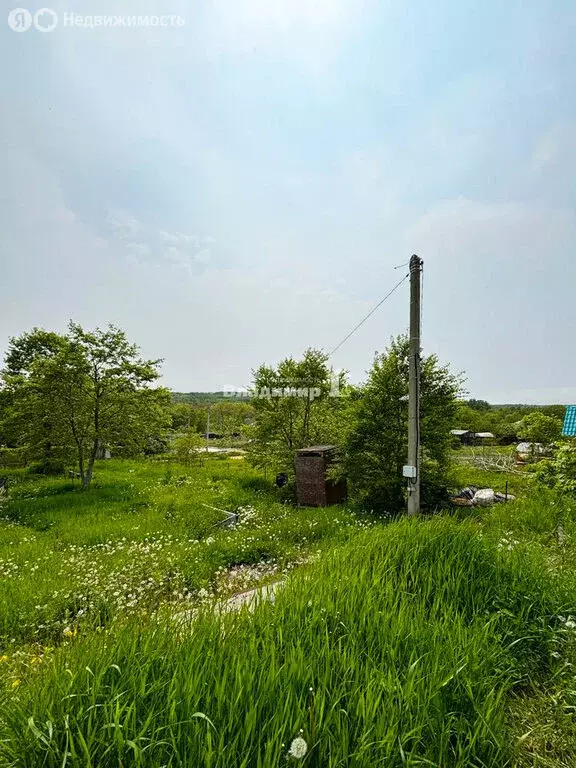 Участок в Приморский край, Партизанский муниципальный округ, СНТ Марс, ... - Фото 1