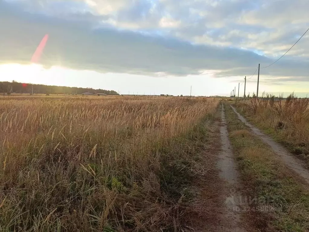 Участок в Ульяновская область, Ульяновск ул. Радужная, 20 (15.06 сот.) - Фото 2