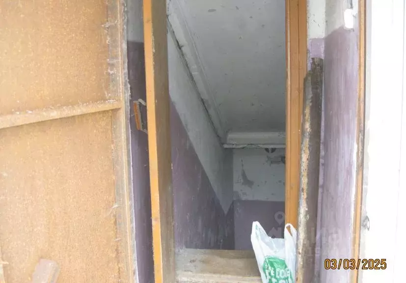 Помещение свободного назначения в Нижегородская область, Нижний ... - Фото 1