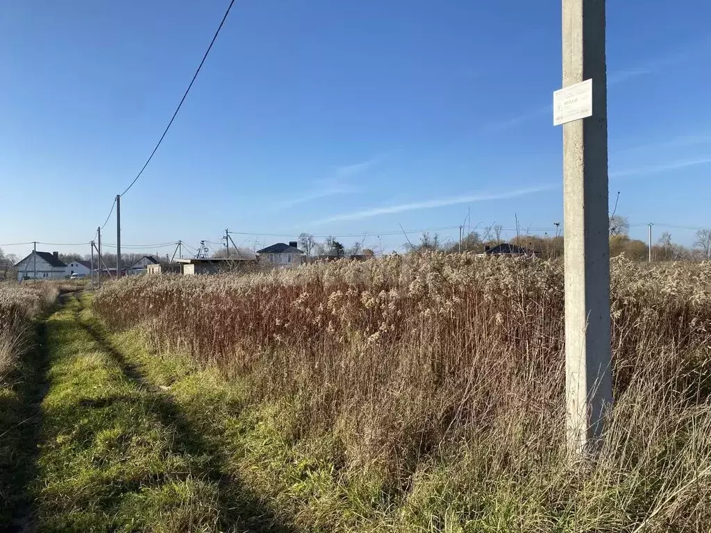 Участок в Калининградская область, Гурьевский муниципальный округ, ... - Фото 2