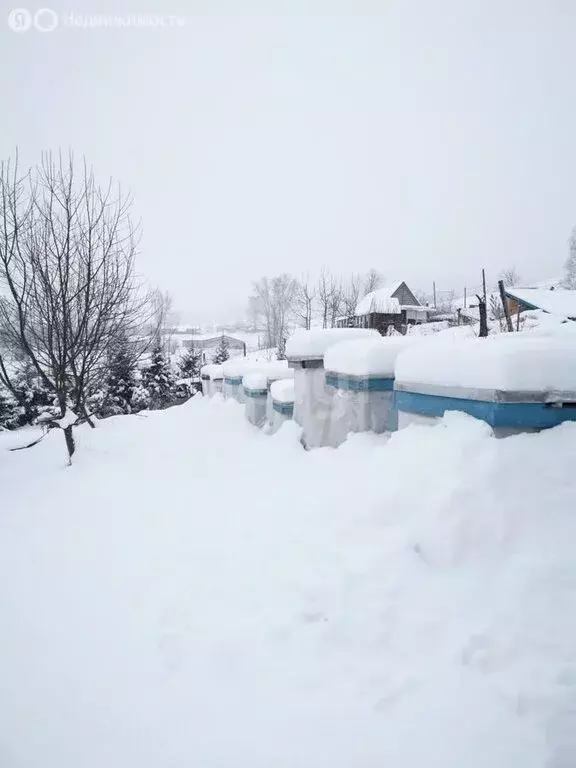 Дом в Солонешенский район, село Матвеевка (54 м) - Фото 1