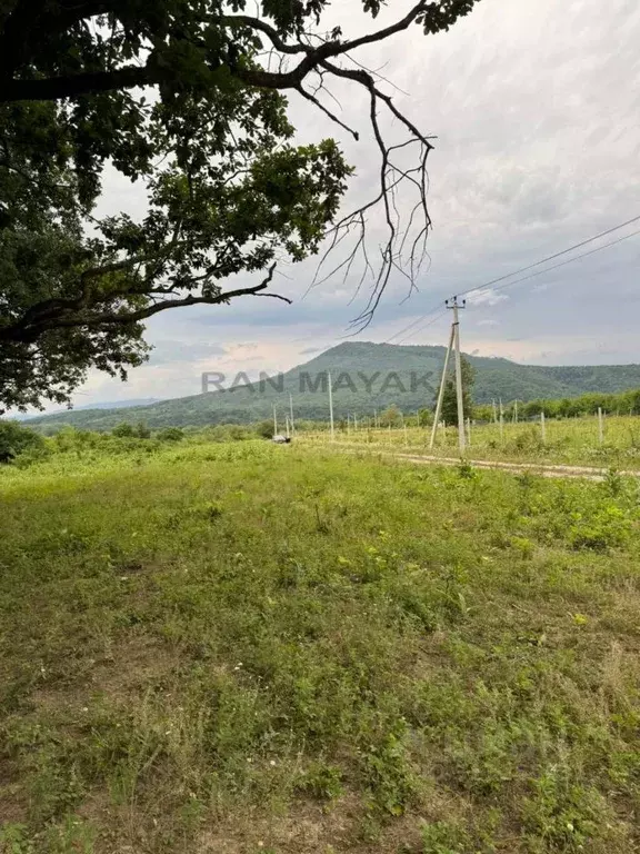 Участок в Адыгея, Майкопский район, Даховская ст-ца  (25.0 сот.) - Фото 0