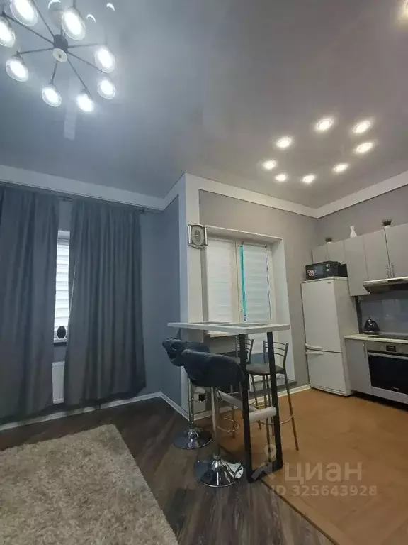 1-к кв. Московская область, Богородский городской округ, д. Щемилово ... - Фото 1