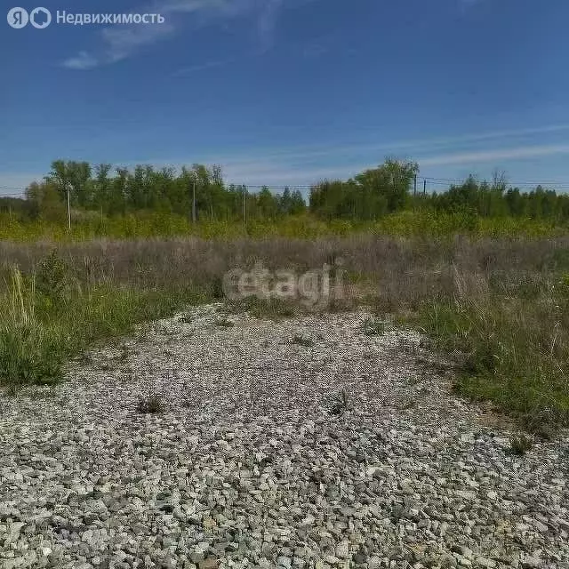 Участок в Ишимский район, посёлок Детский Санаторий (10 м) - Фото 0