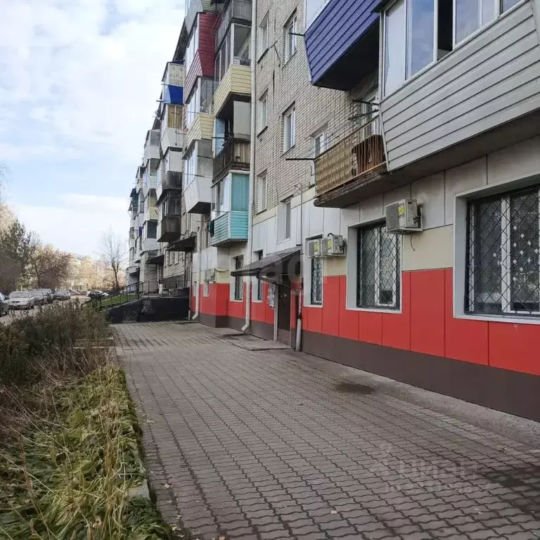 1-к кв. Алтай, Горно-Алтайск ул. Ленкина (28.3 м) - Фото 1