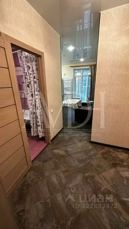 1-к кв. Московская область, Пушкино ул. Добролюбова, 32Б (40.0 м) - Фото 2