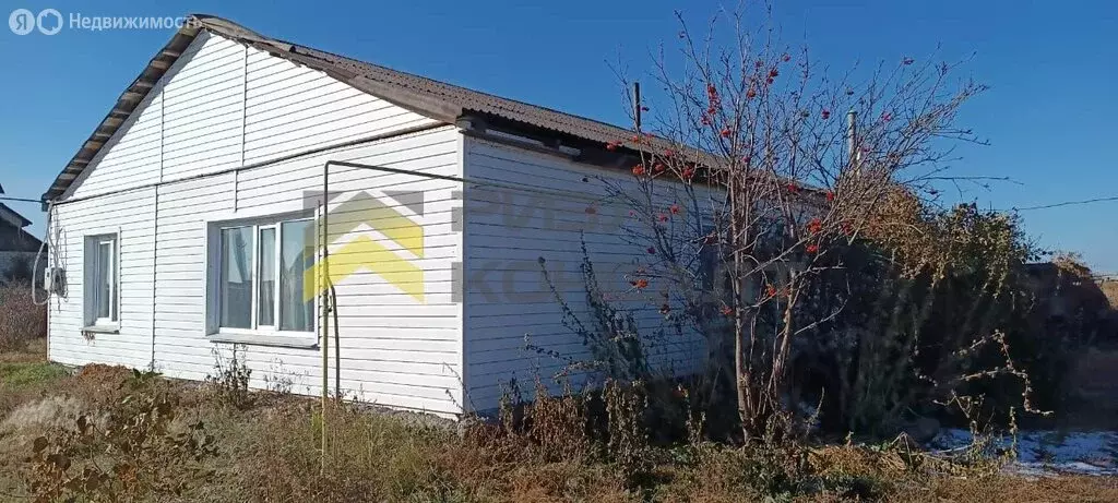 Дом в село Екатеринославка, улица Устимука, 2 (80 м) - Фото 0