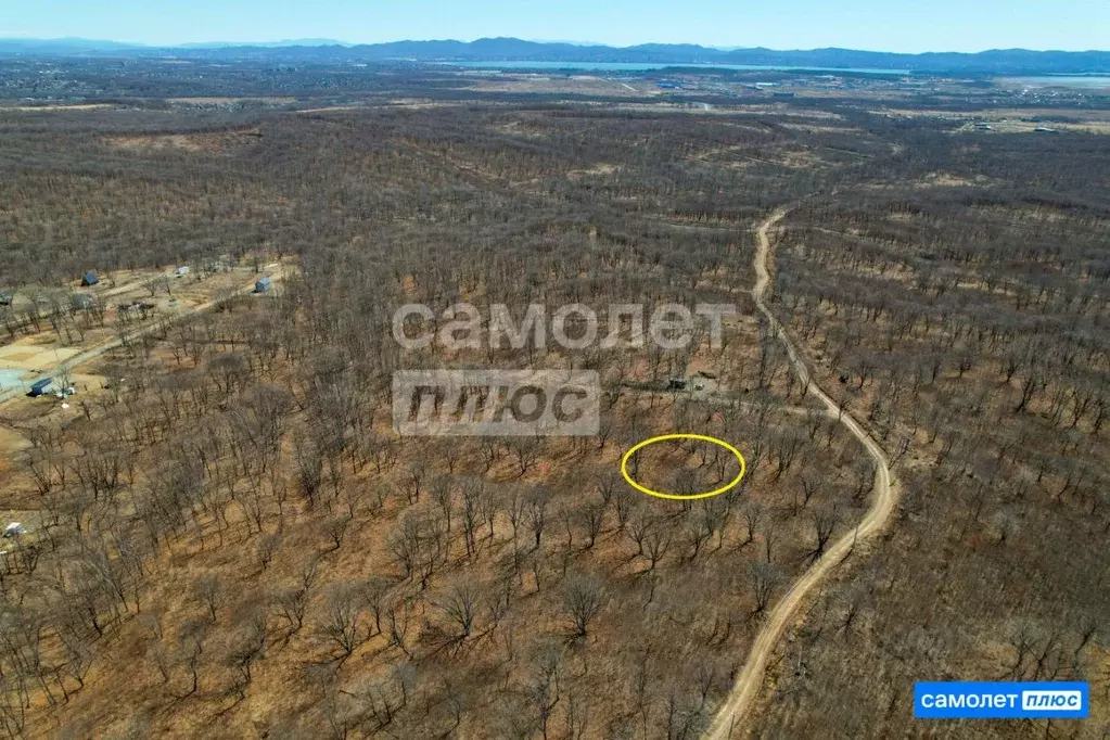 Участок в Приморский край, Надеждинский район, пос. Тавричанка пер. ... - Фото 2