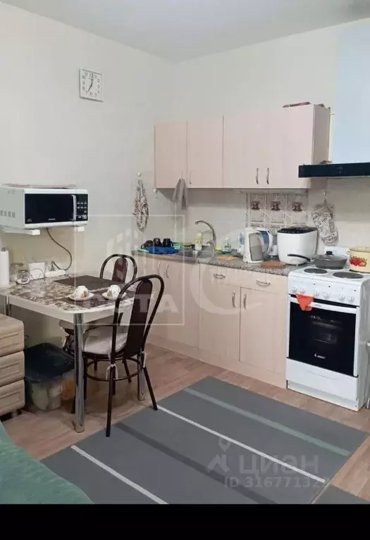 1-к кв. Воронежская область, с. Новая Усмань ул. Полевая, 10Б (24.0 м) - Фото 1