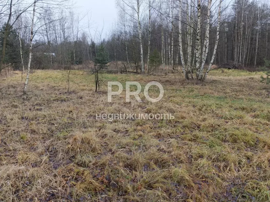 Участок в Ярославская область, Ярославский муниципальный округ, д. ... - Фото 1