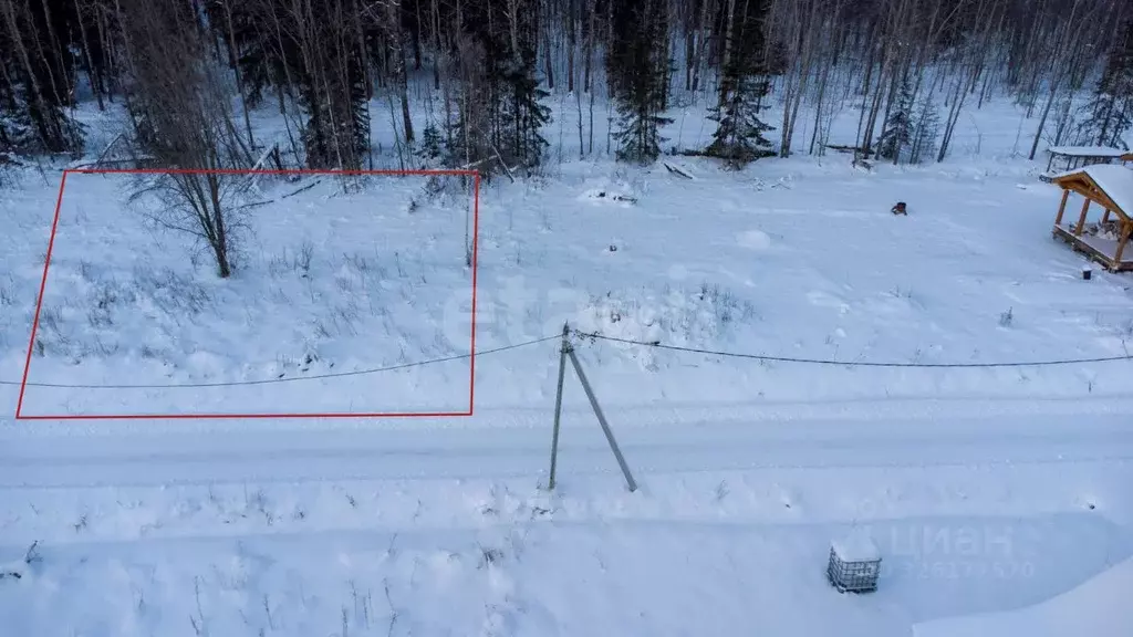 Участок в Ленинградская область, Всеволожский район, Рахьинское ... - Фото 1