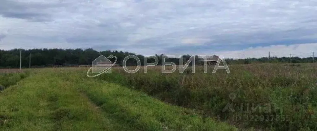 Участок в Тюменская область, Тюменский муниципальный округ, с. Кулига ... - Фото 1