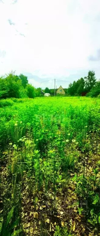 Участок в Амурская область, Благовещенский район, с. Чигири ул. ... - Фото 1