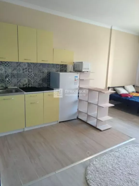 Студия Московская область, Красногорск ул. Липовой Рощи, 2к3 (31.0 м) - Фото 1