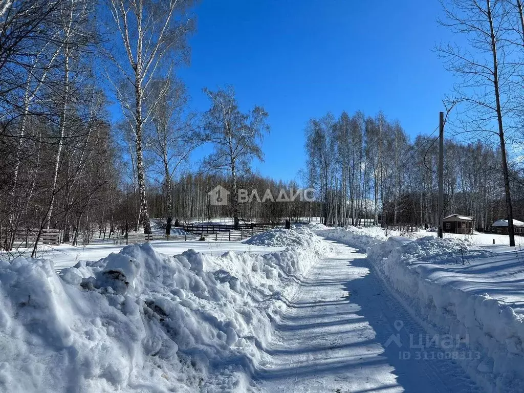 Участок в Новосибирская область, Искитимский район, Морозовский ... - Фото 0